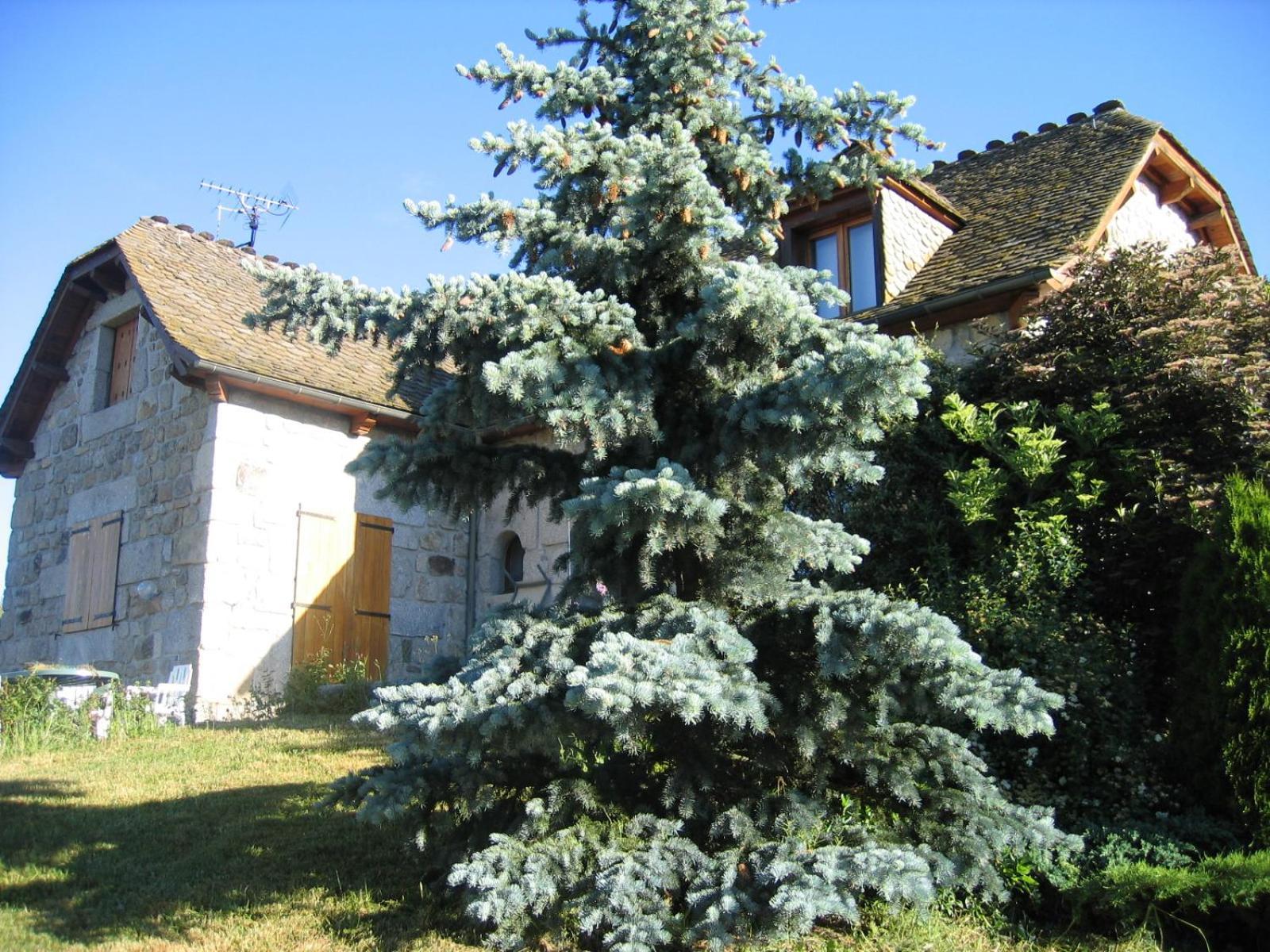 דירות Saint-Alban-sur-Limagnole Lozere Aubrac Margeride Promo מראה חיצוני תמונה